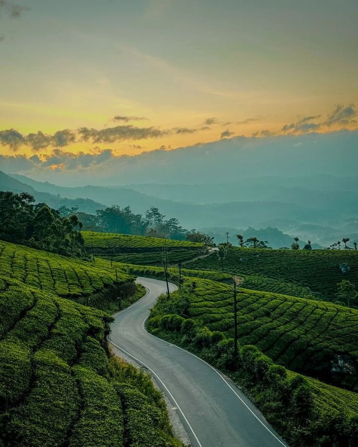 Munnar